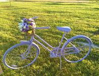 Tin Spur Ranch - Wedding venue for Victoria Texas